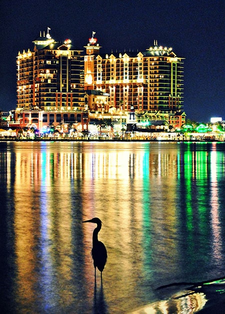 view of Destin with water and the bird